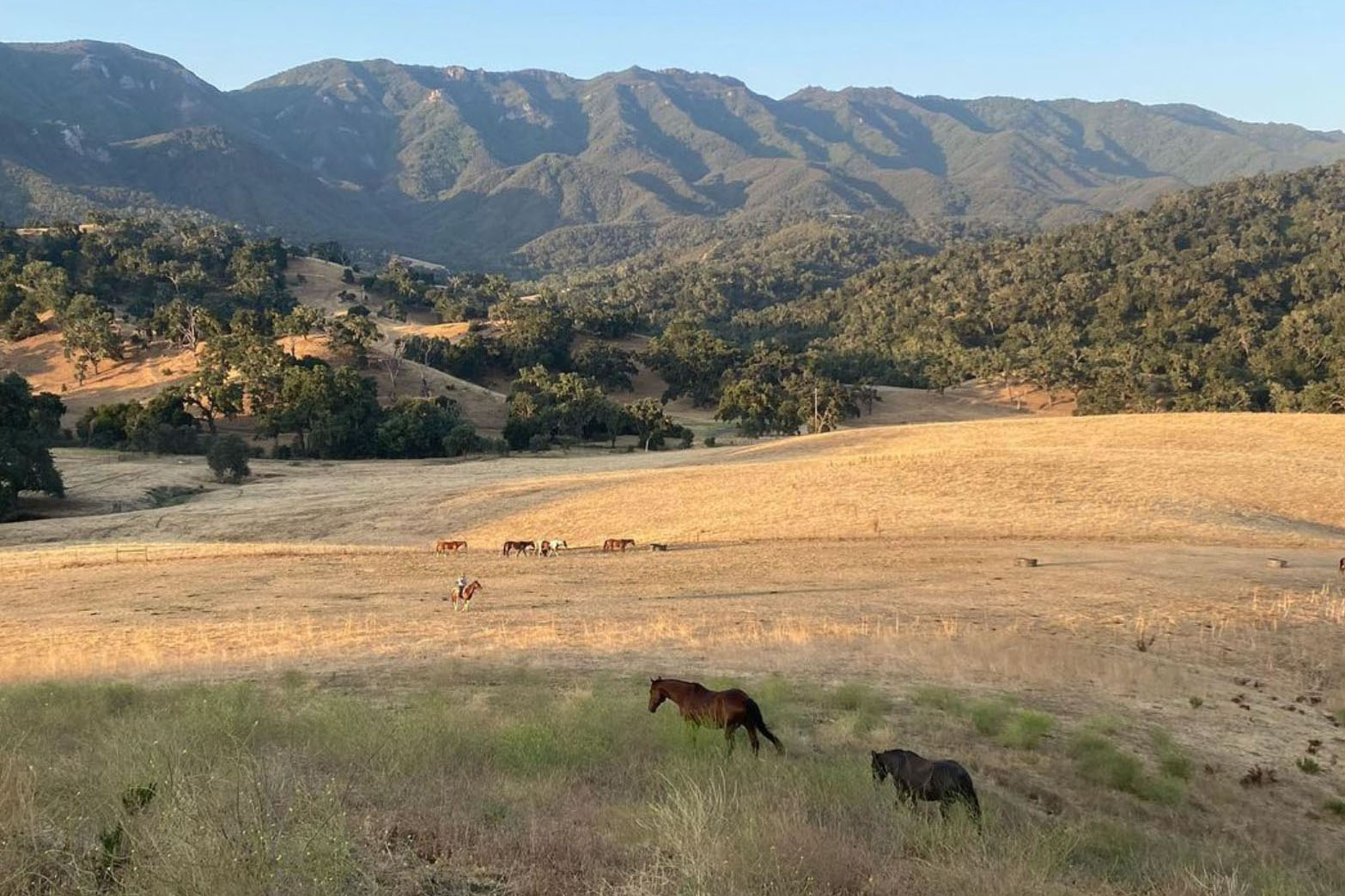 Alisal Ranch, Santa Ynez Valley